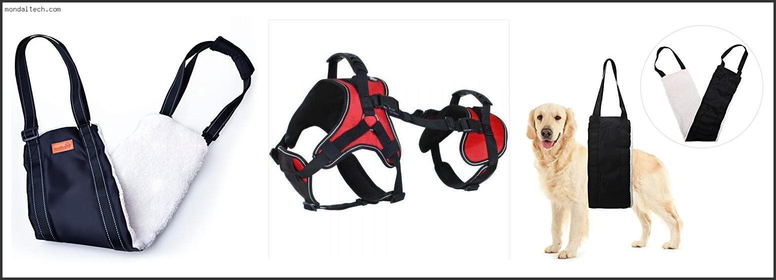 Best Dog Support Harnesses