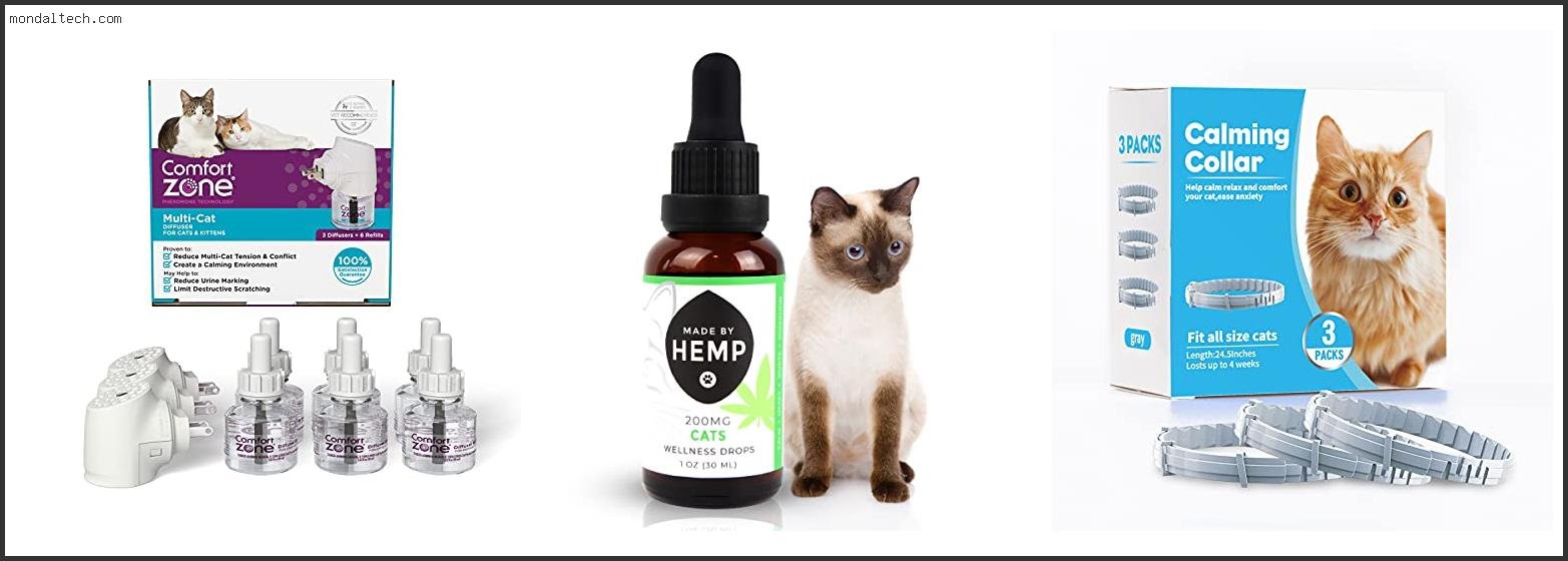 Best Calming Products For Cats