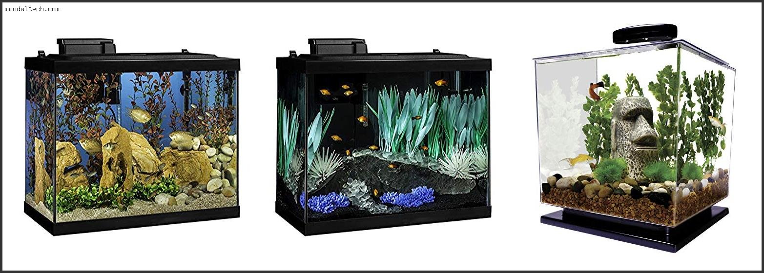 Best Fish Tanks