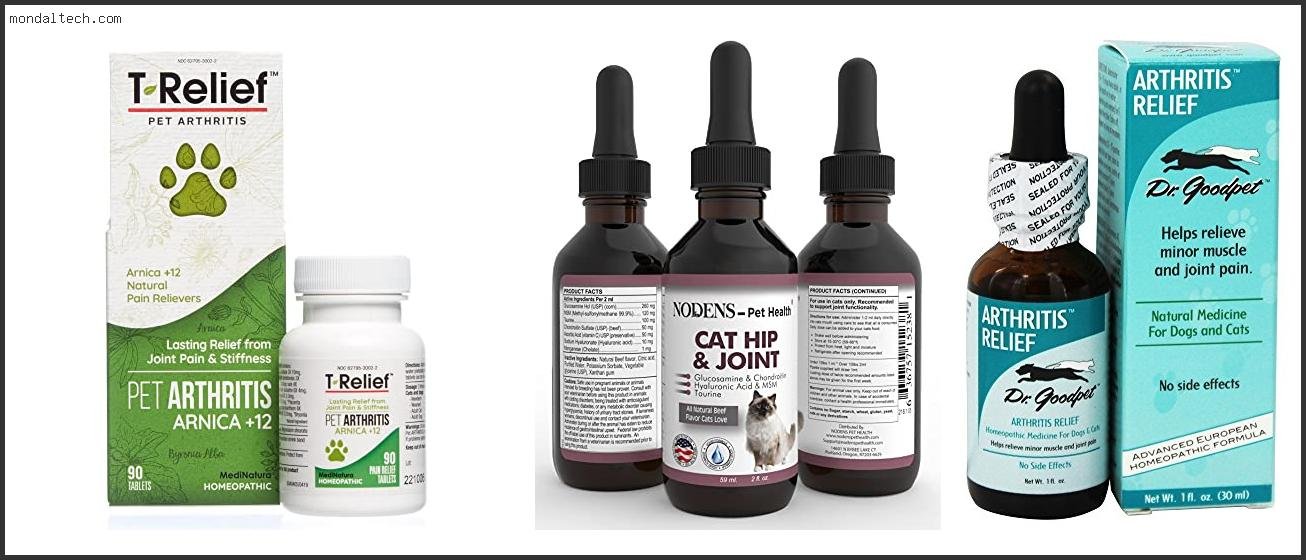 Best Cat Arthritis Pain Medications