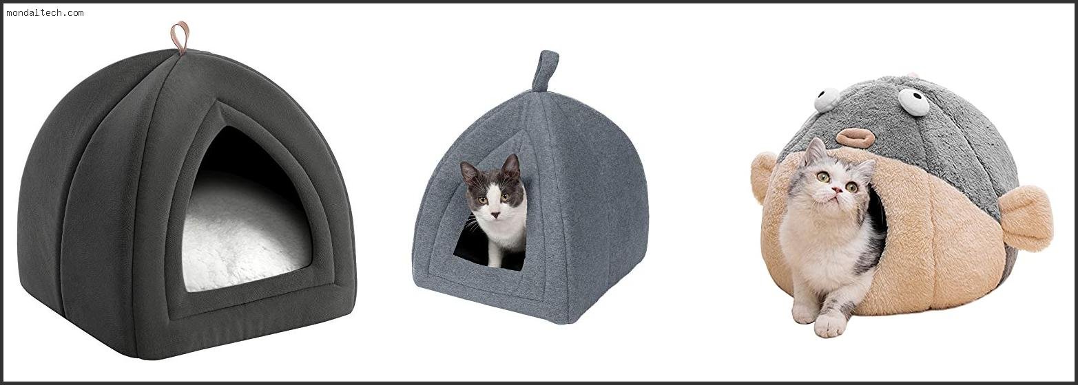 Best Covered Cat Beds