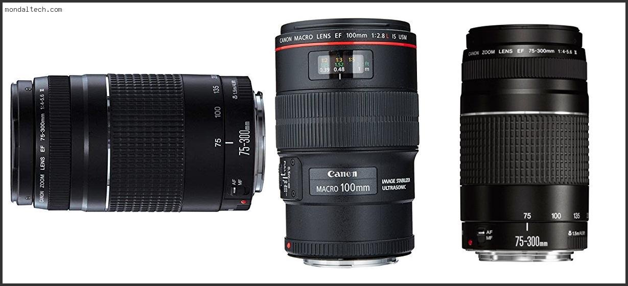 Best Canon Lenses